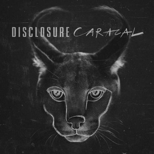 disclosure-caracal